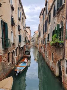 120815288_1009320479516412_4362522057847713945_n