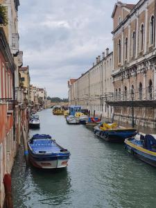 120885275_1009320736183053_8090012256784775835_n