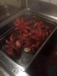 120885277_1010957476019379_5953217455708681767_n